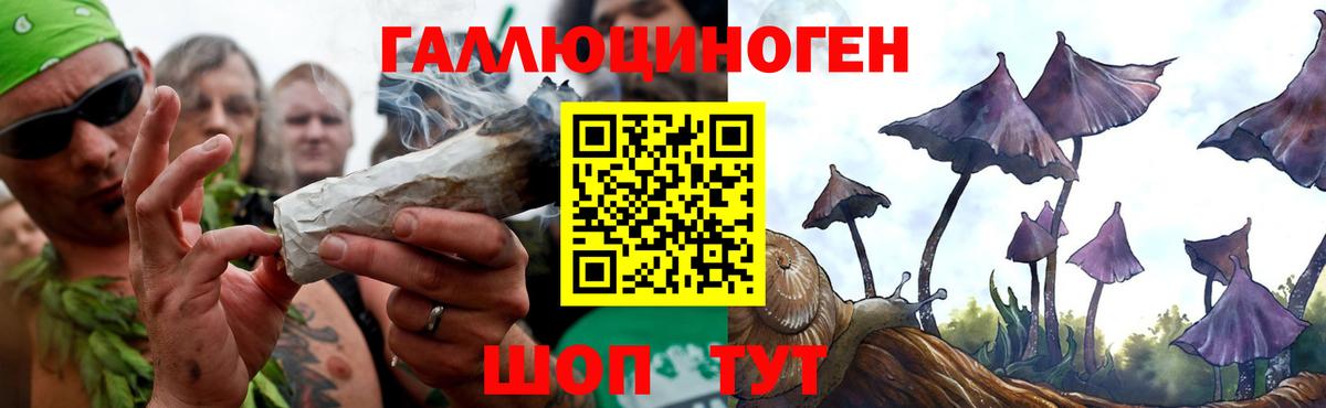 Псилоцибиновые грибы Cubensis Нарткала